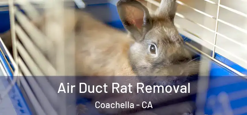  Air Duct Rat Removal Coachella - CA