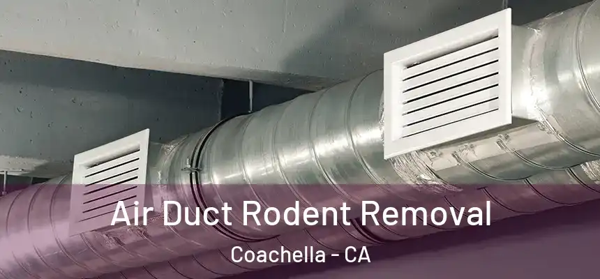 Air Duct Rodent Removal Coachella - CA