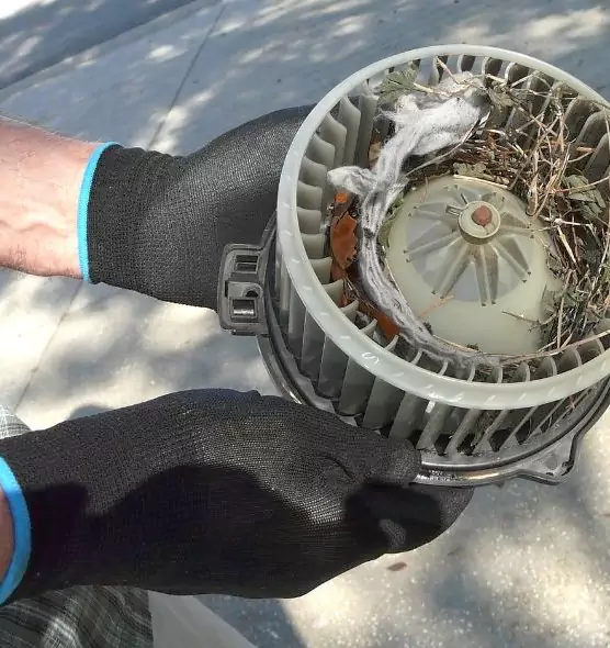 About Air Duct Rat Removal in Coachella, CA