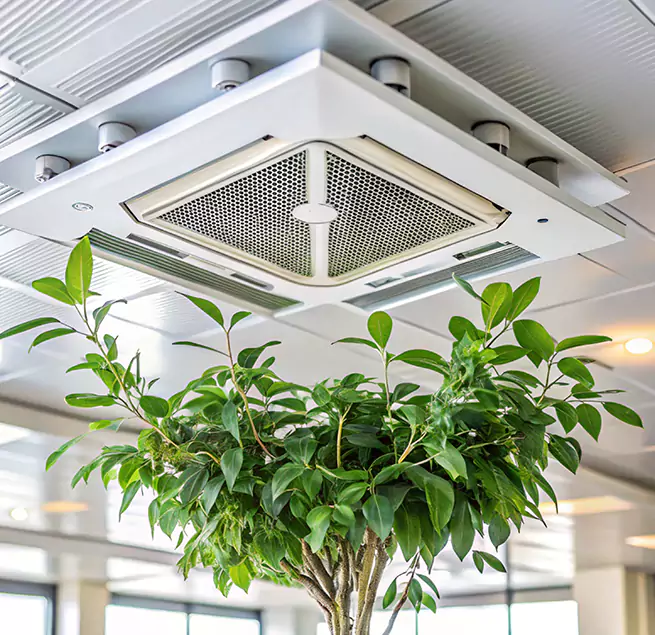 Why Homeowners & Businesses Trust Us in Coachella, CA?